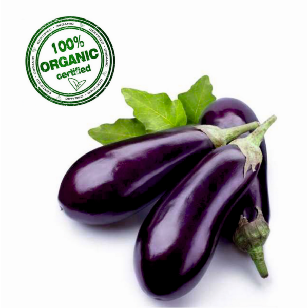 Organic Long Brinjal (Baingan)