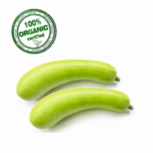 Organic Bottle Gourd (Dudhi)