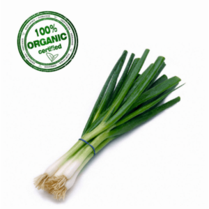 Organic Spring Onion (Lili Dungri)