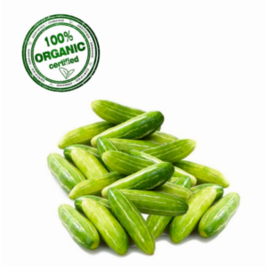 Organic Tindora